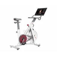 Магнитный велотренажер Yesoul BS3-W PRO PLUS